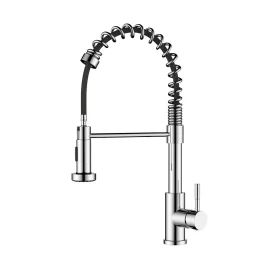 Pull down kitchen faucet